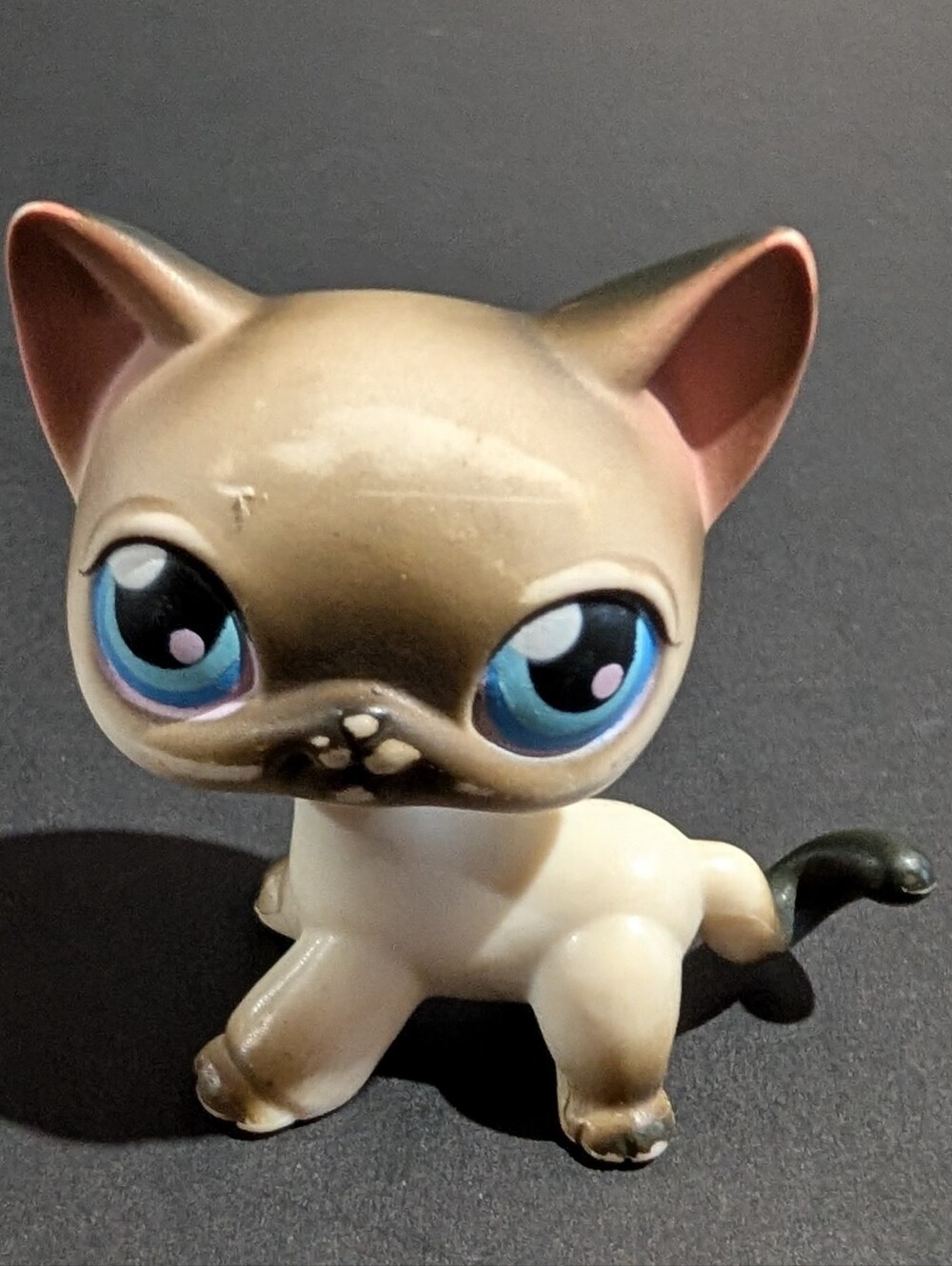 Littlest Pet Shop #5 Siamese Short Hair Cat Kitten Red Magnet Blue Eyes LPS 2004